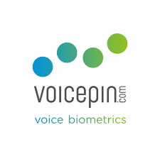 VoicePin